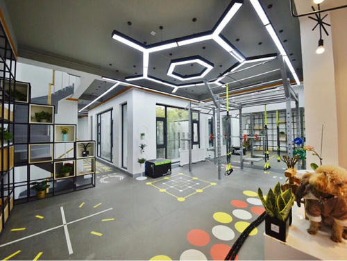 北京連鎖健身房加盟費(fèi)多少錢(qián)