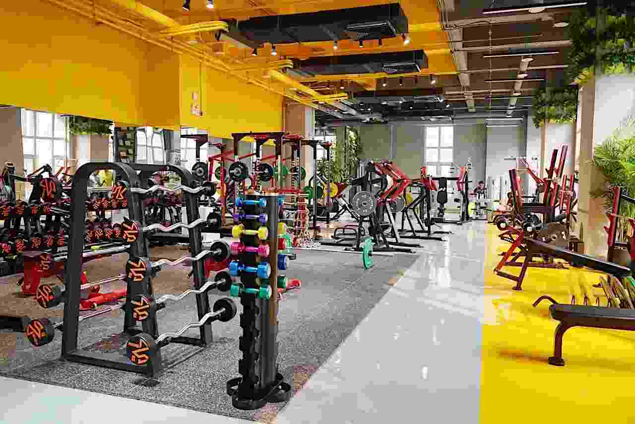 開個私教工作室一年能賺多少錢？